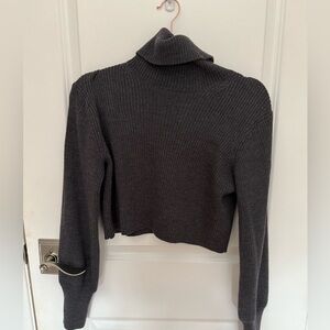 Wilfred cropped turtleneck, worn once